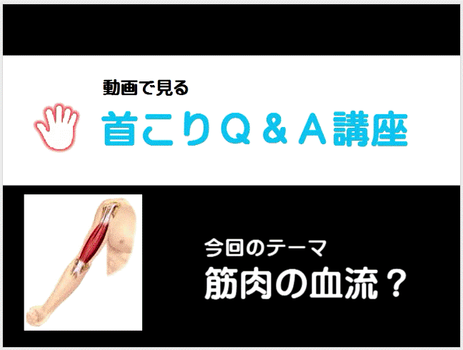 筋肉の血流イメージ